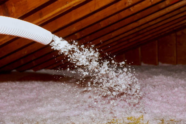 Best Residential Insulation in Pioneer, OH