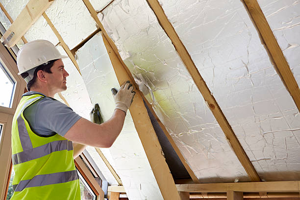 Best Cellulose Insulation in Pioneer, OH